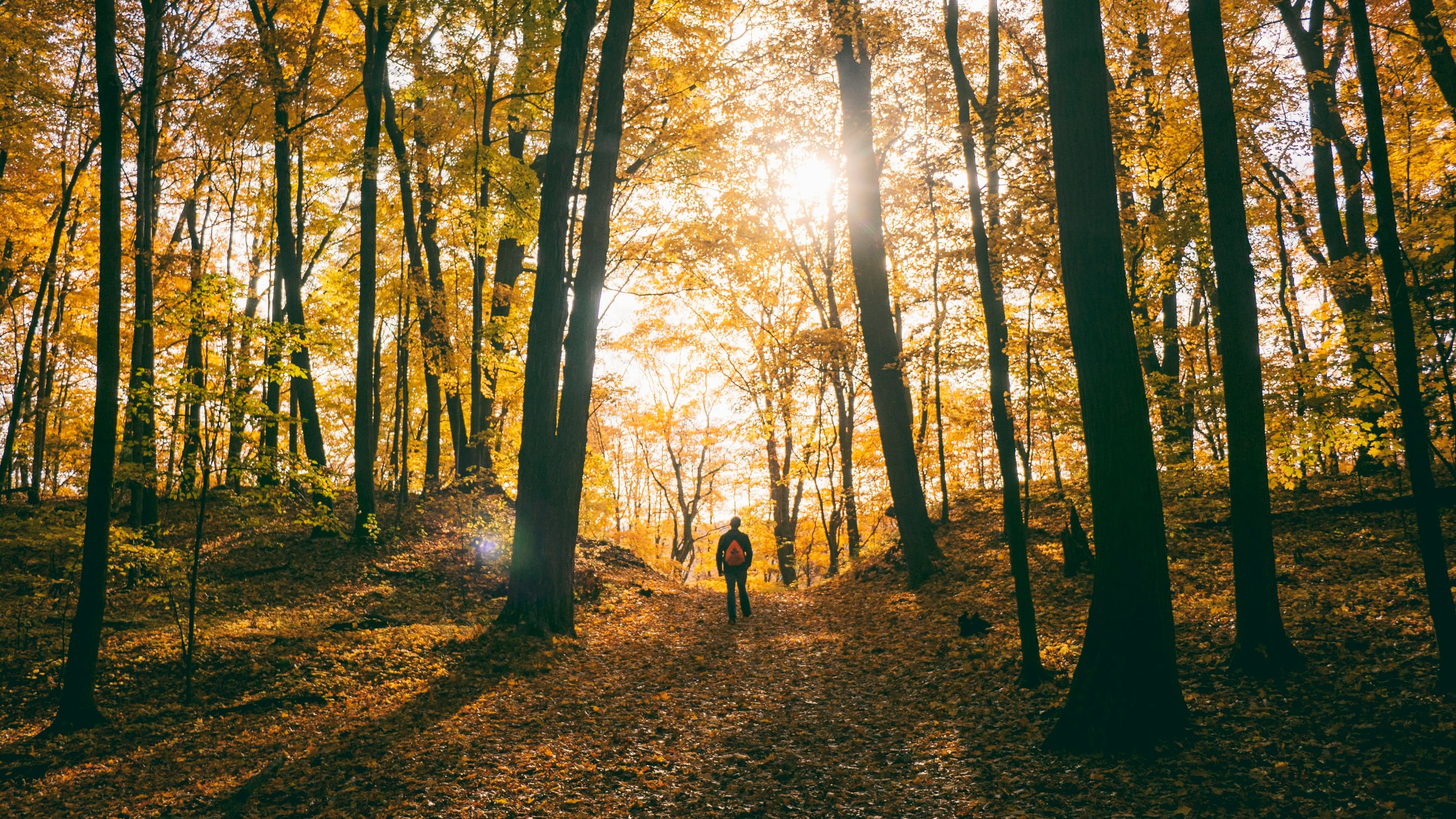 Counselling and pyschotherapy Bradford on Avon